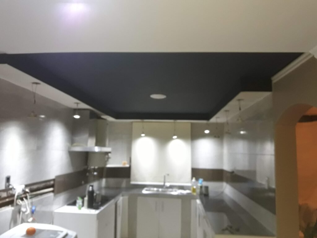 Pintor profesional, impermeabilizaciones de techos