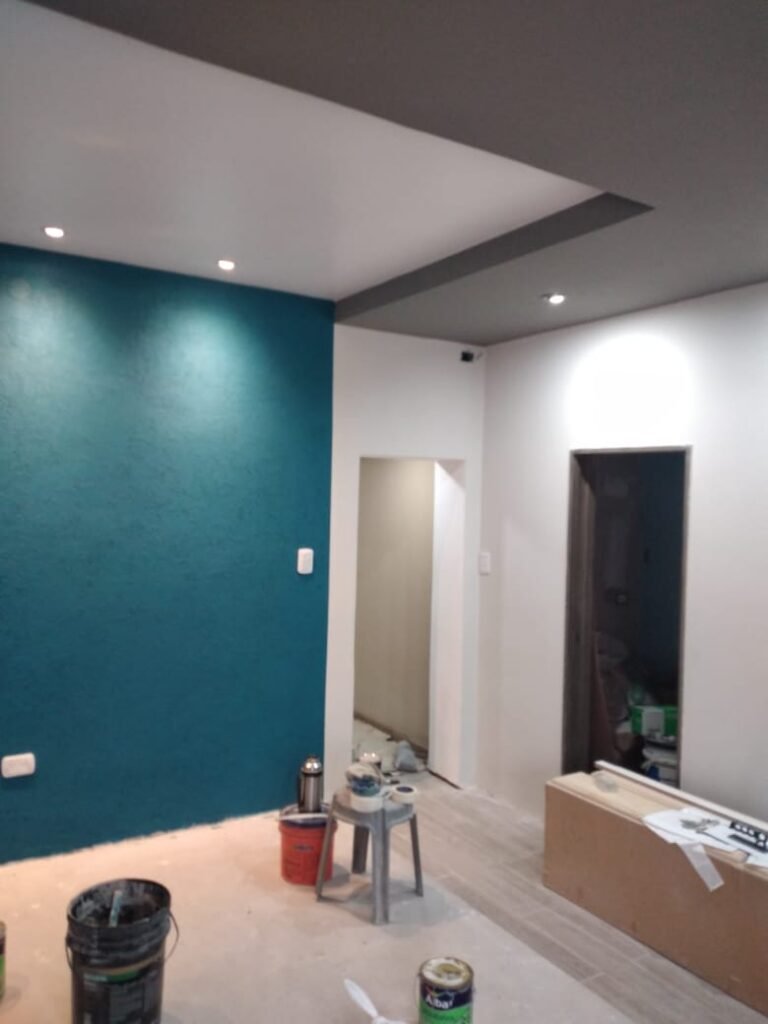 Pintor profesional a bajo costo