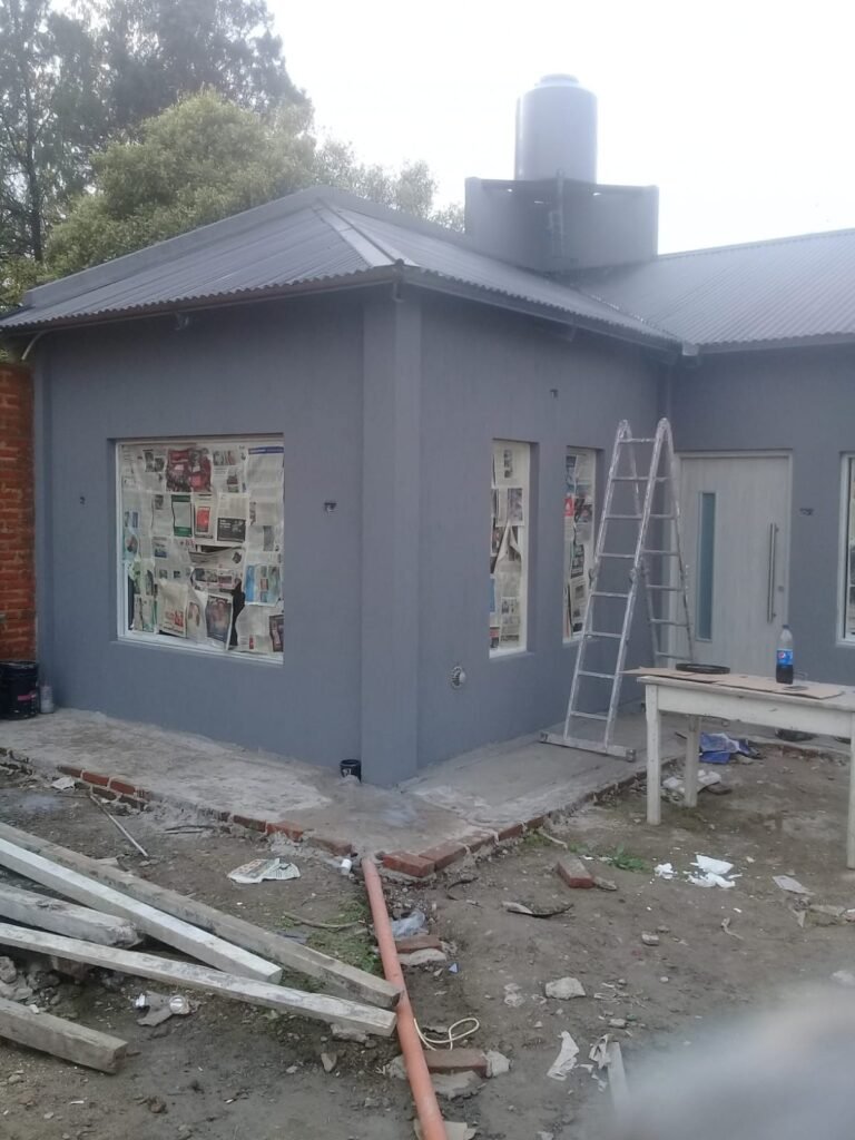 Pintor profesional a bajo costo