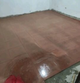 Servicio de Albañileria y pintura