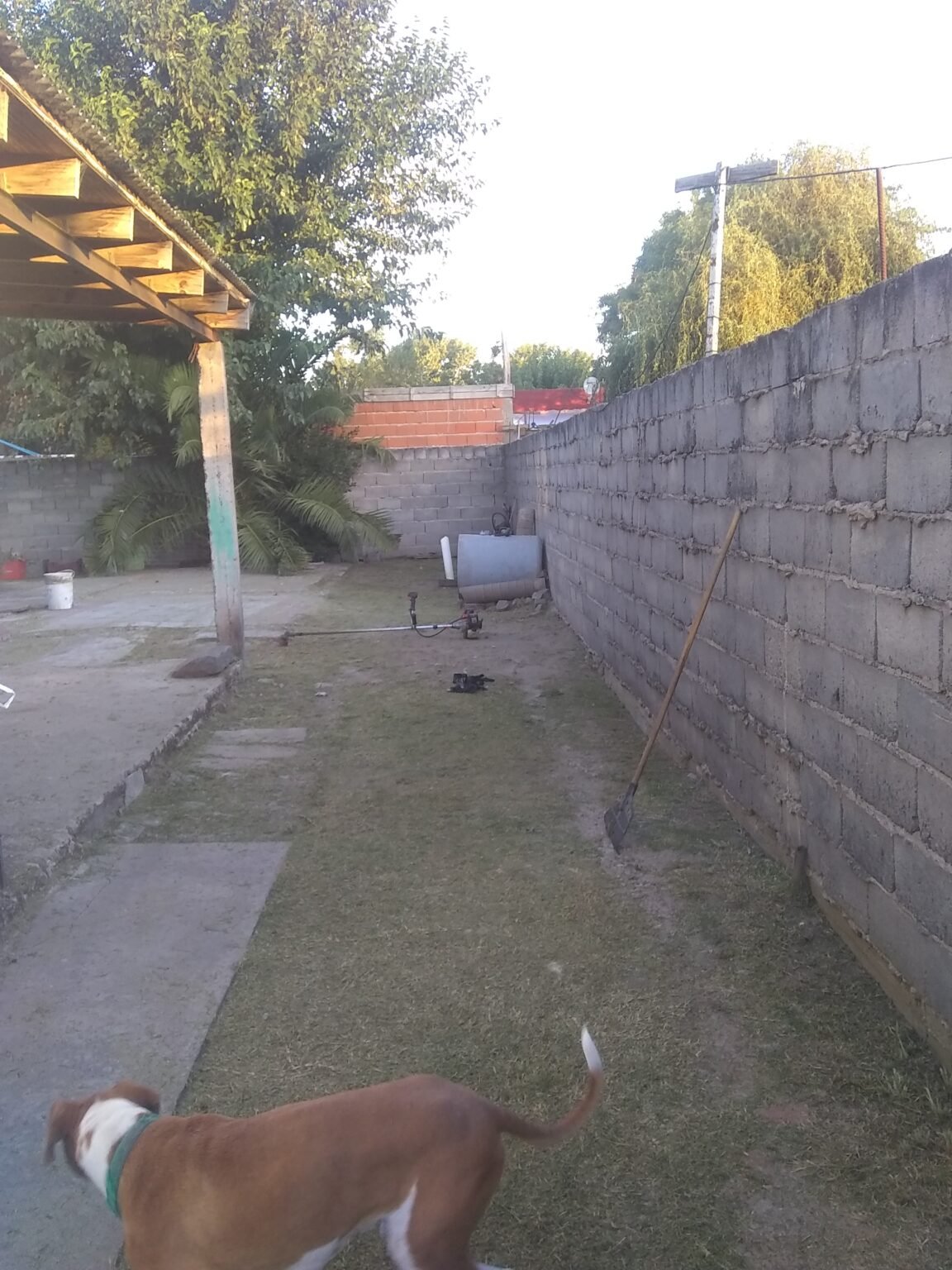 Corte de pasto y limpieza de zanj