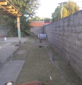 Corte de pasto y limpieza de zanjas