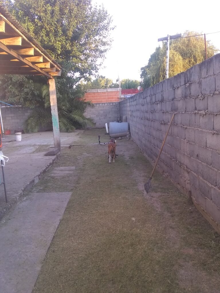 Corte de pasto y limpieza de zanj