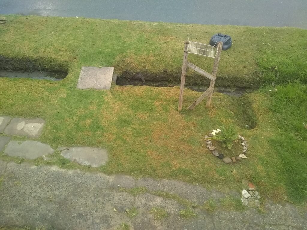 Corte de pasto y limpieza de zanj