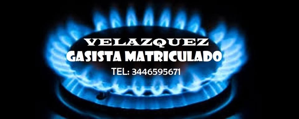 Gasista matriculado