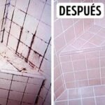 EcoLimpio servicio de limpieza integral