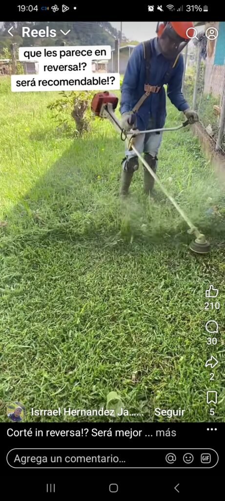 Jardinería