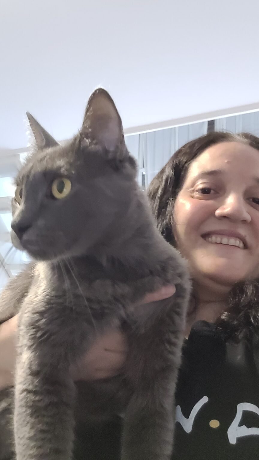 Catsitter