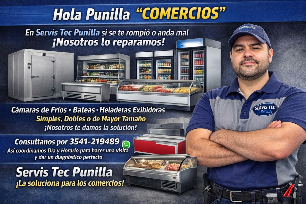 Servis tec punilla