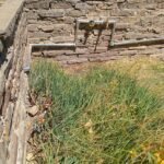 Yoel, plomeria y jardineria