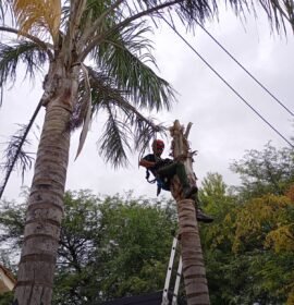 Trabajos integrales en altura