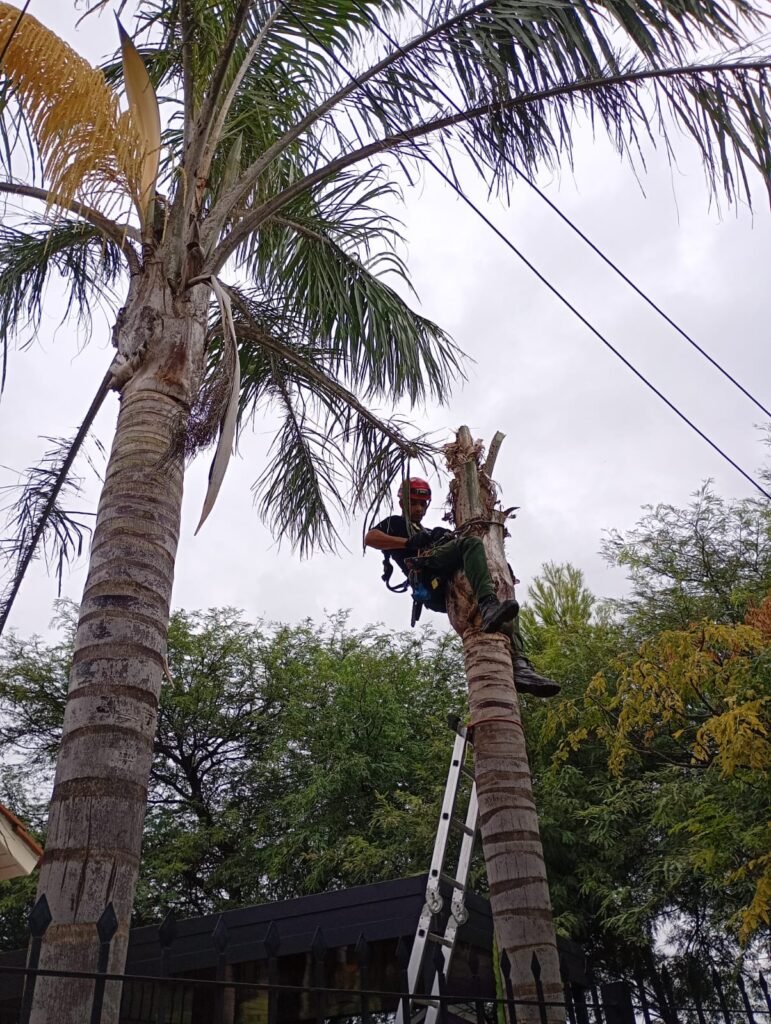 Trabajos integrales en altura