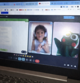 Acompañamiento Escolar presencial y online