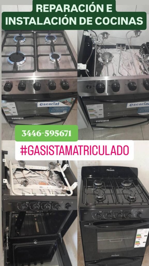 Gasista matriculado