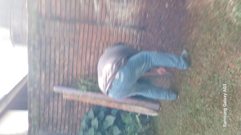 CHIPEADO Y MAS
