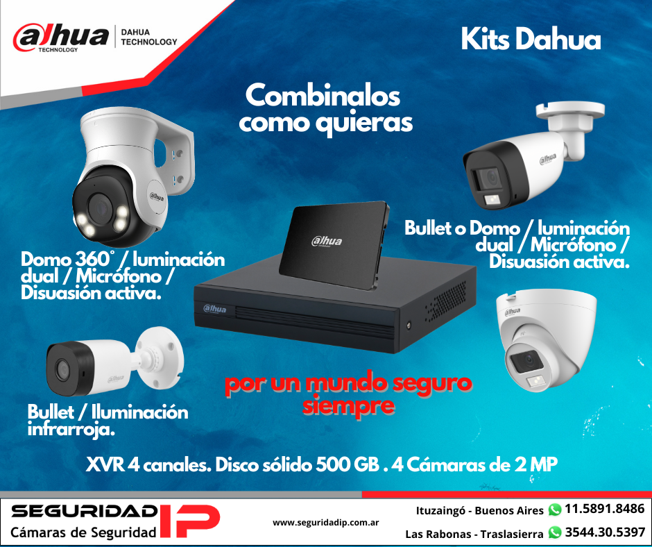 Seguridad IP. Cámaras de Segurida