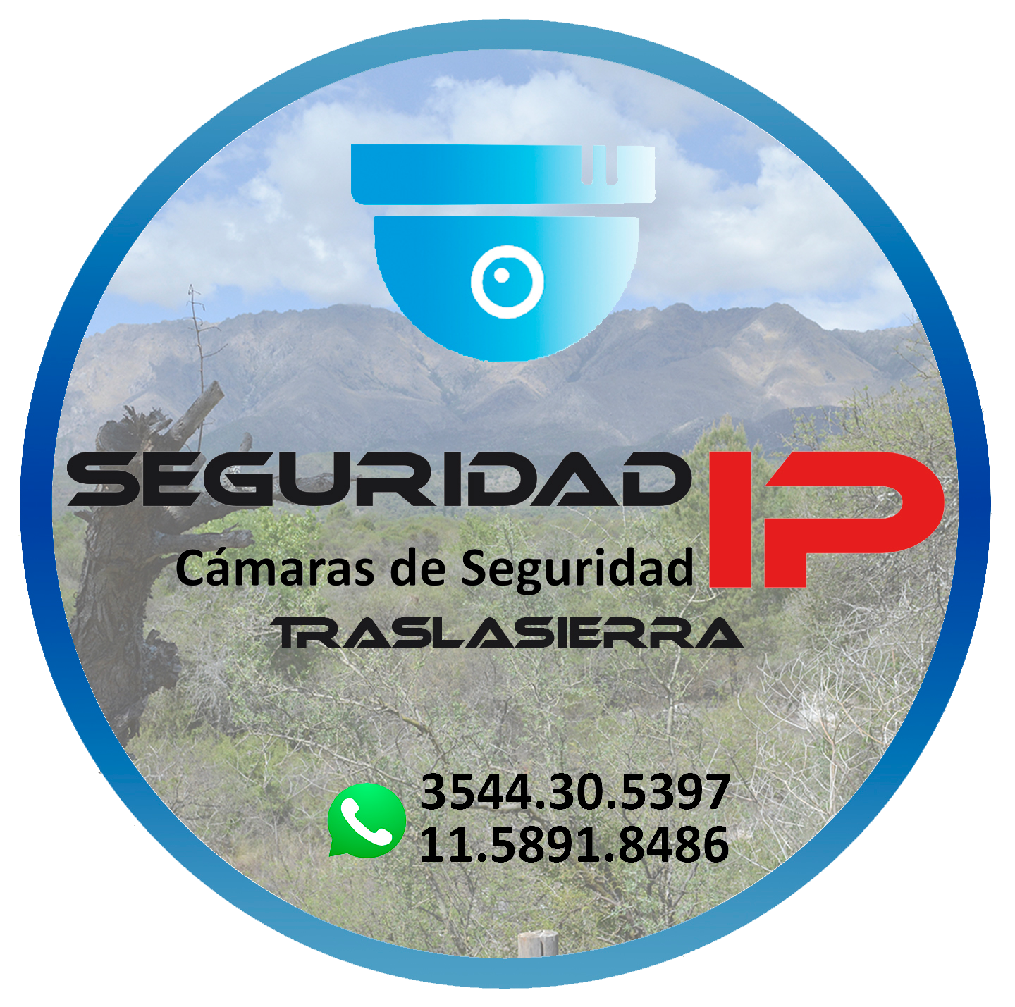 Seguridad IP. Cámaras de Segurida