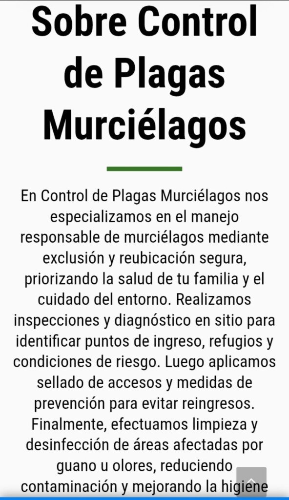 Control de Plagas murcielagos