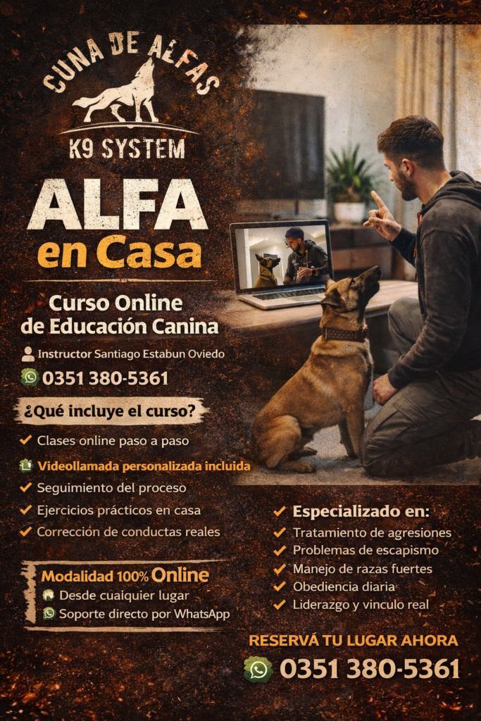 Educación canina