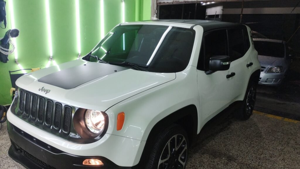 Polarizados automotriz
