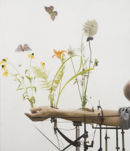Jardineria Urbana