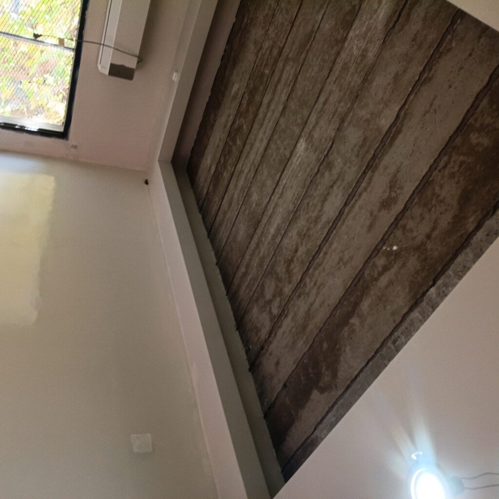 Pintura de casa