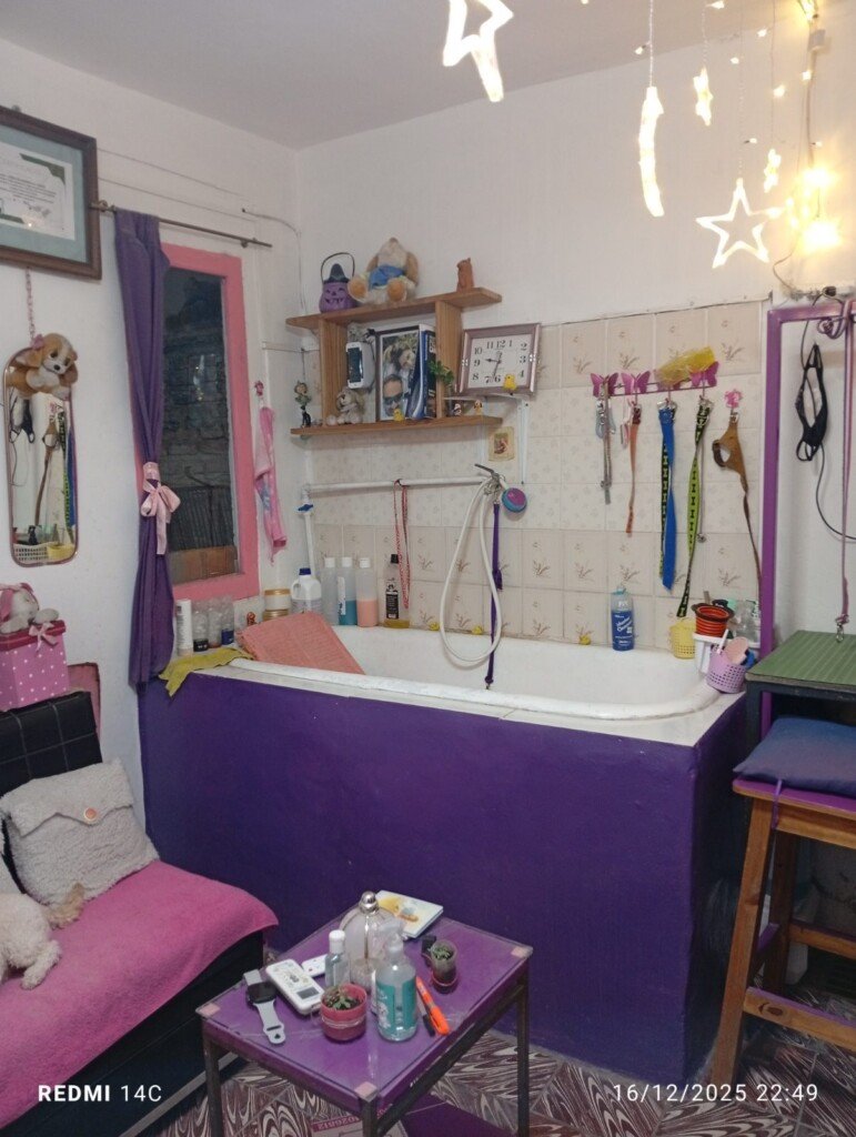 Peluquería canina