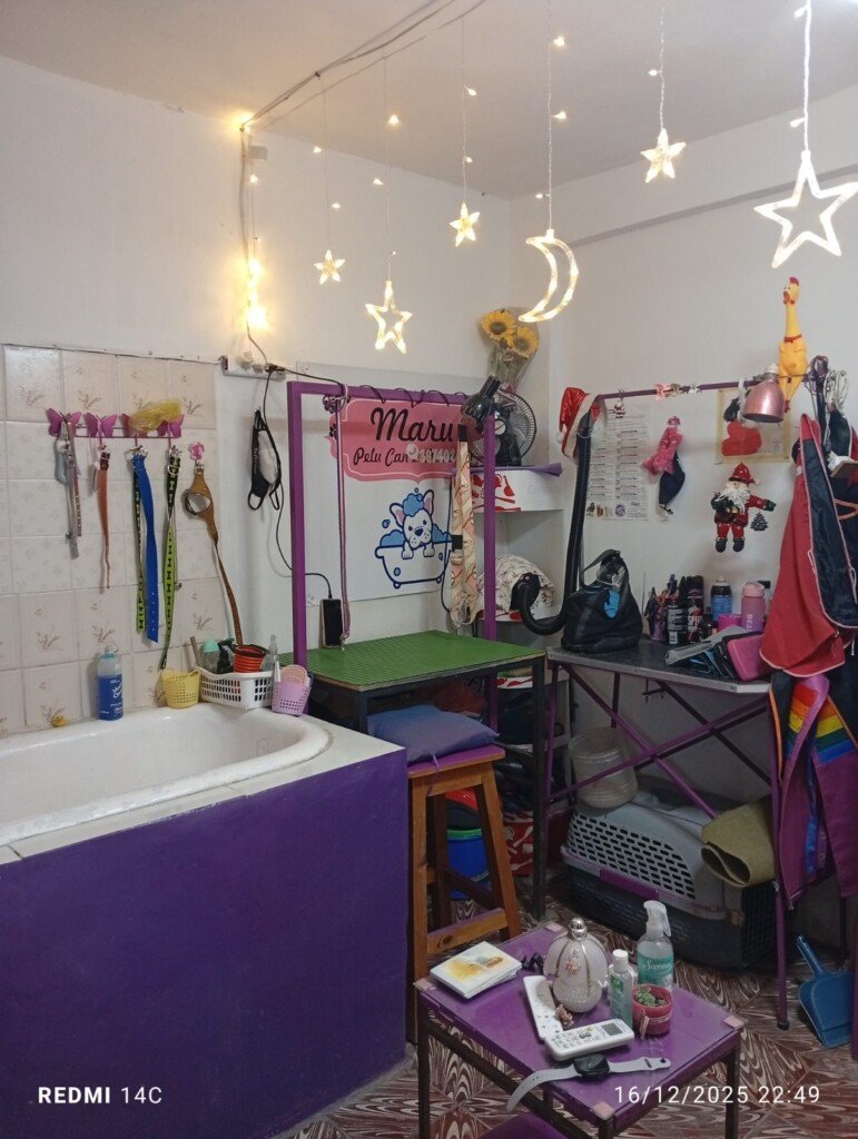 Peluquería canina
