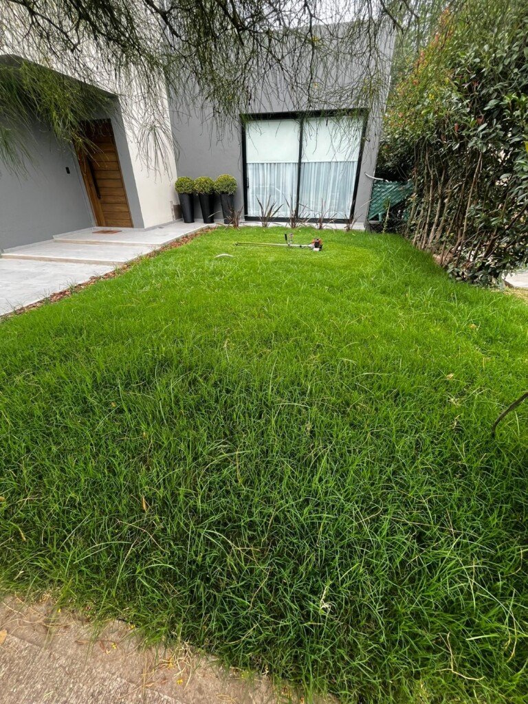 Jardineria al detalle, paisajismo