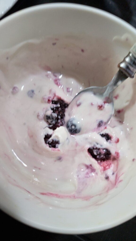 YOGUR GRIEGO CASERO