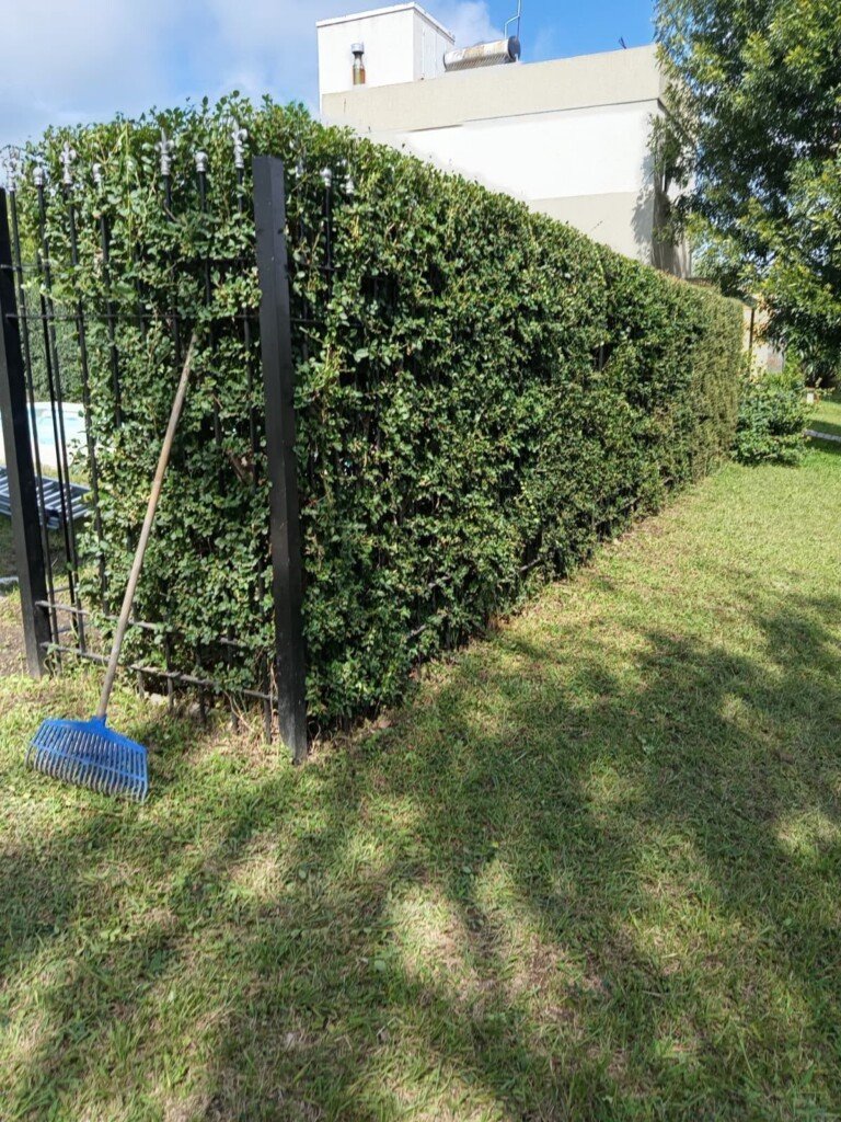 Jardineria al detalle, paisajismo