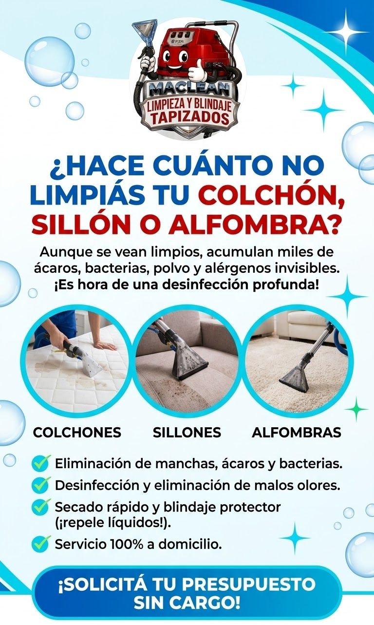 limpieza de alfombras