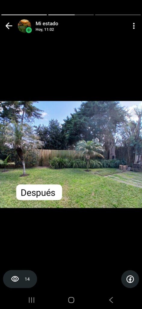 Jardineria